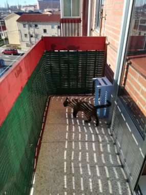 WhatsApp Image 2021-01-05 at 13.14.05