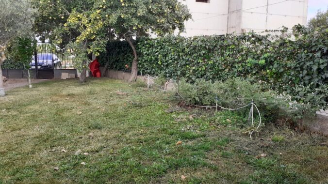 WhatsApp Image 2021-09-10 at 11.50.29 (1)