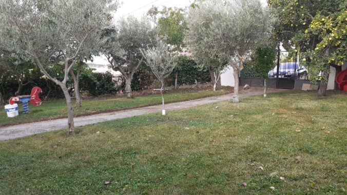 WhatsApp Image 2021-09-10 at 11.50.59