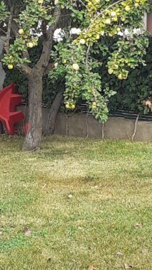 WhatsApp Image 2021-09-10 at 11.51.00 (1)