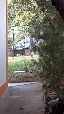 WhatsApp Image 2021-09-10 at 11.51.00 (2)