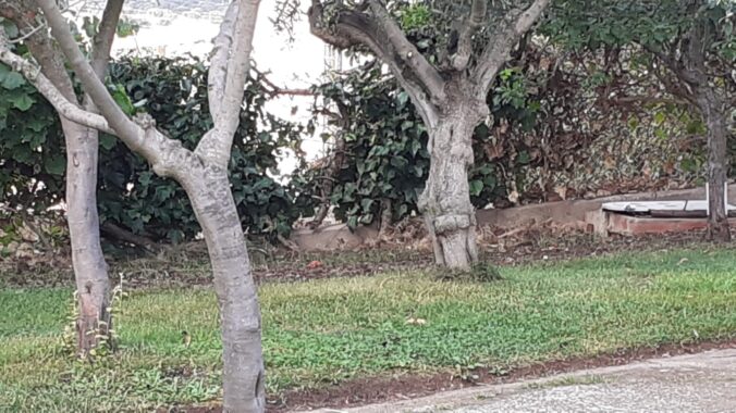 WhatsApp Image 2021-09-10 at 11.51.00