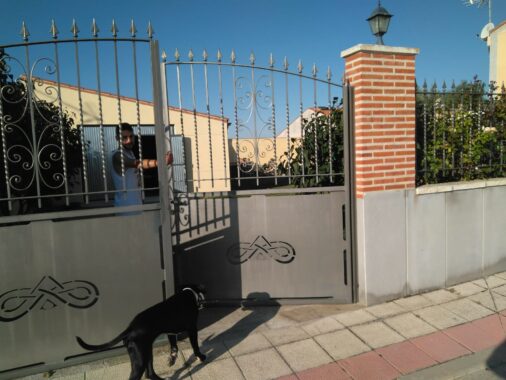 WhatsApp Image 2022-05-21 at 10.40.12 AM