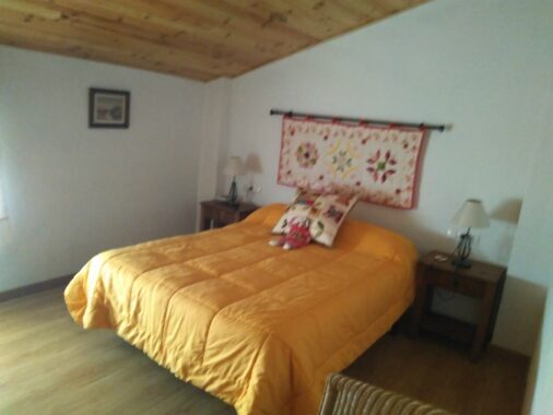 WhatsApp Image 2022-05-21 at 10.41.41 AM