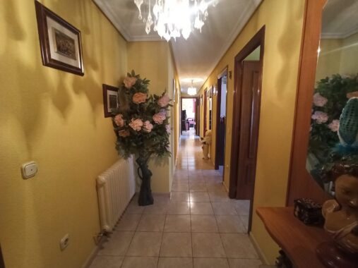 WhatsApp Image 2023-09-04 at 11.07.22 (3)