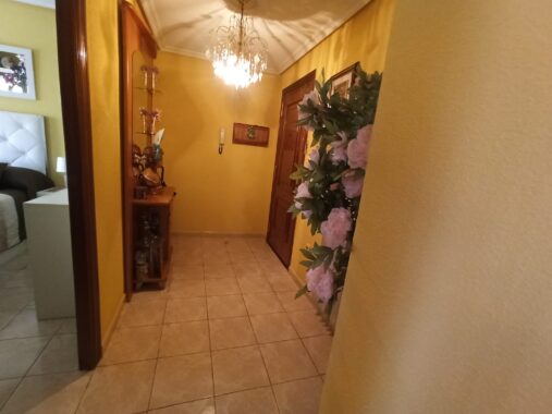 WhatsApp Image 2023-09-04 at 11.07.22