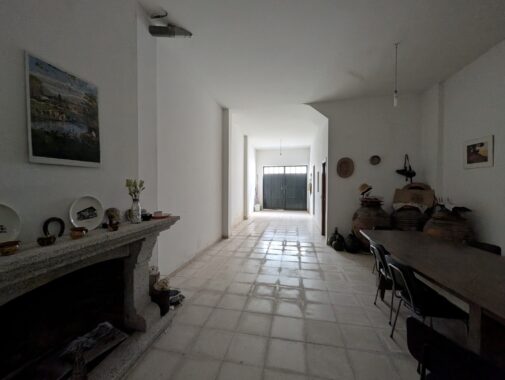 PXL_20250301_114227311.RAW-01.COVER