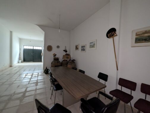 PXL_20250301_114246144.RAW-01.COVER