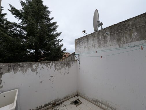 PXL_20250301_115020648.RAW-01.COVER