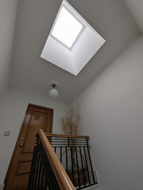 PXL_20250301_115130410.RAW-01.COVER