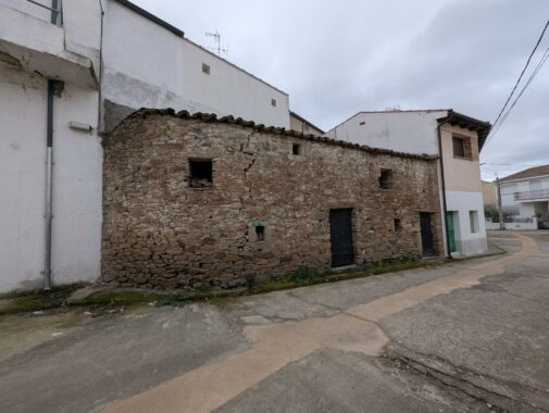 PXL_20250301_120503041.RAW-01.COVER