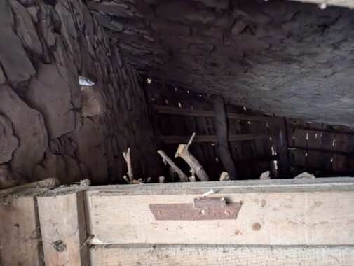 PXL_20250301_120703772.RAW-01.COVER[1]