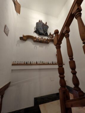 PXL_20250526_165652181.RAW-01.COVER