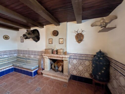 PXL_20250526_165802478.RAW-01.COVER