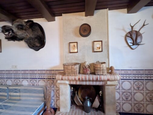 PXL_20250526_165824246.RAW-01.COVER