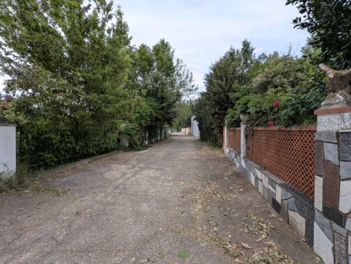 PXL_20250526_171435438.RAW-01.COVER