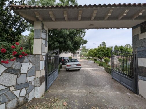 PXL_20250526_171442841.RAW-01.COVER