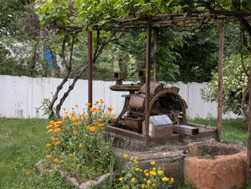 PXL_20250526_171543470.RAW-01.COVER