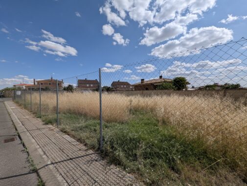 PXL_20250625_154157796.RAW-01.COVER