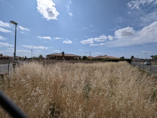 PXL_20250625_154517394.RAW-01.COVER