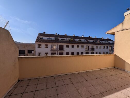 WhatsApp Image 2026-02-20 at 18.46.45 (1)