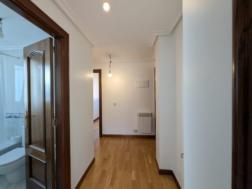 WhatsApp Image 2026-02-20 at 18.46.52