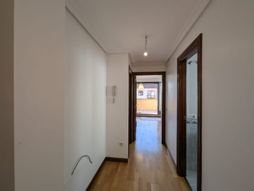 WhatsApp Image 2026-02-20 at 18.46.54