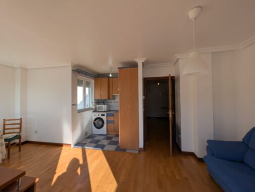 WhatsApp Image 2026-02-20 at 18.46.55 (3)