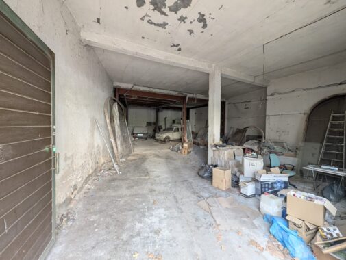 WhatsApp Image 2026-01-10 at 12.04.29 (1)