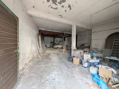 WhatsApp Image 2026-01-10 at 12.04.29