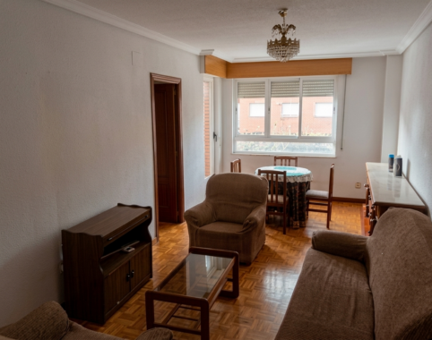 Gemini_Generated_Image_oeo2r1oeo2r1oeo2