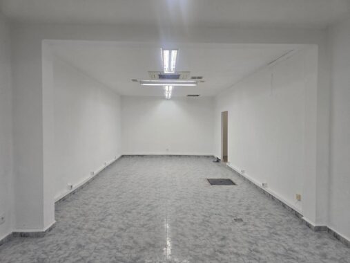 WhatsApp Image 2026-03-02 at 12.26.44 (12)