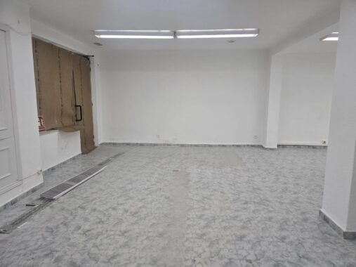 WhatsApp Image 2026-03-02 at 12.26.44 (8)